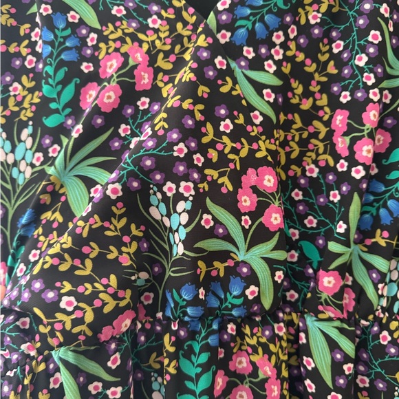 Gorgeous flowy sheer dress. - Picture 4 of 5